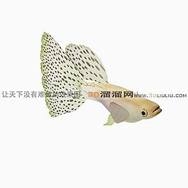 3D魚模型