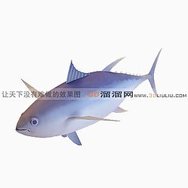 3D鱼模型