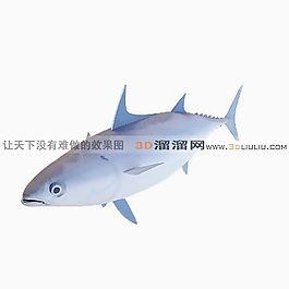 3D鱼模型