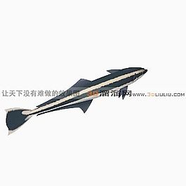 3D魚模型