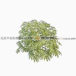 3D灌木模型