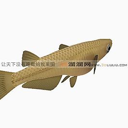 3D魚模型