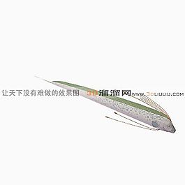 3D鱼模型