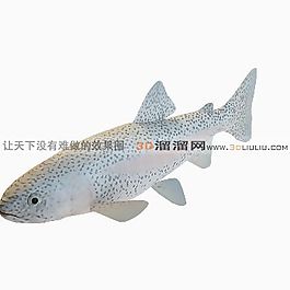 3D魚模型