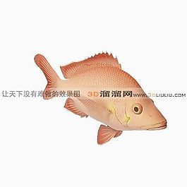 3D魚模型