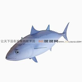 3D鱼模型