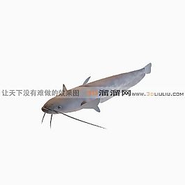 3D魚模型