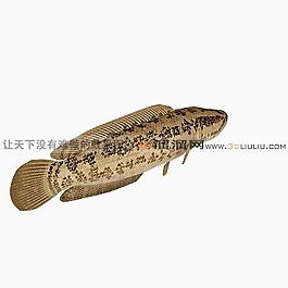 3D魚模型