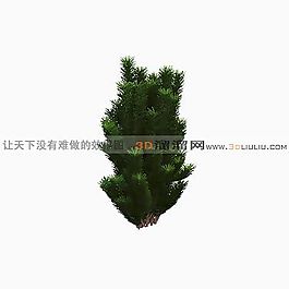 3D灌木模型