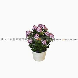 3D盆景模型