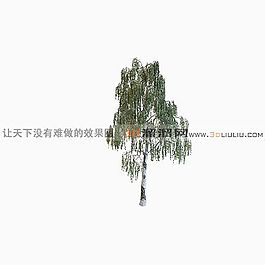 3D樹(shù)模型