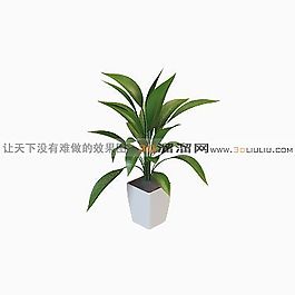 3D盆景模型