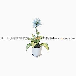 3D盆景模型