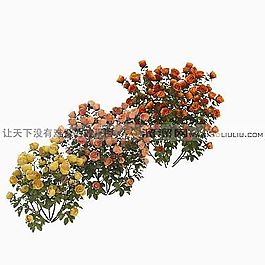 3D花草模型