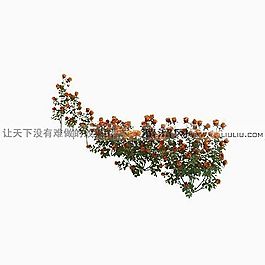 3D花草模型