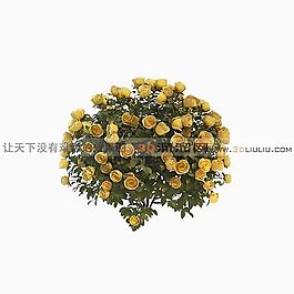 3D花草模型
