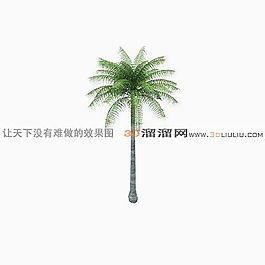 3D椰子樹模型