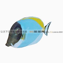 3D魚模型