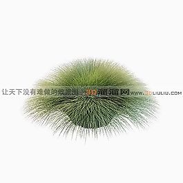 3D草模型