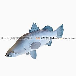 3D魚模型