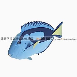 3D魚模型