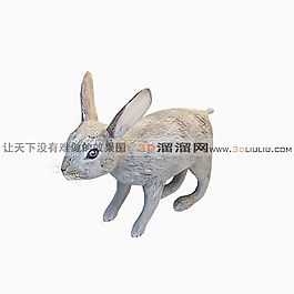 3D兔模型