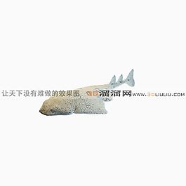 3D魚模型