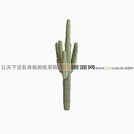 3D仙人掌模型