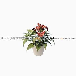 3D盆景模型