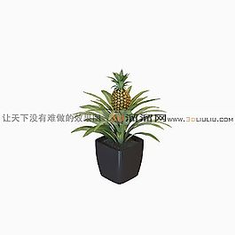 3D盆景模型