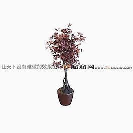 3D盆景模型