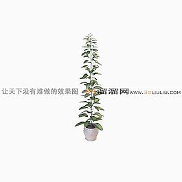 3D盆景模型