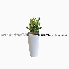 3D盆景模型