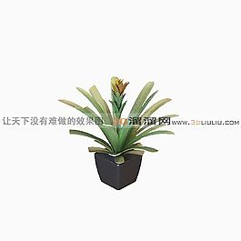 3D盆景模型