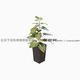 3D盆景模型