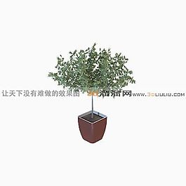 3D盆景模型