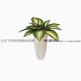 3D盆景模型