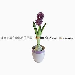 3D盆景模型