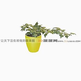 3D盆景模型