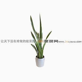 3D盆景模型