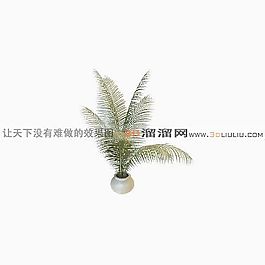 3D盆景模型