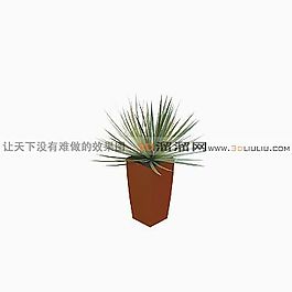 3D盆景模型