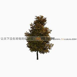 3D樹(shù)模型
