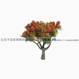 3D樹(shù)模型