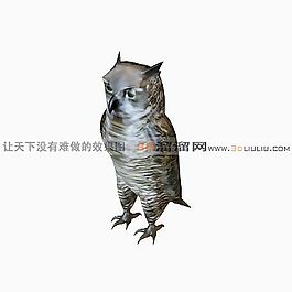3D貓頭鷹模型
