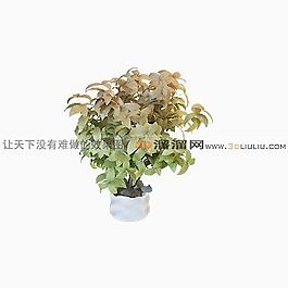 3D盆景模型