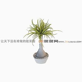 3D盆景模型