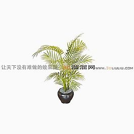 3D盆景模型