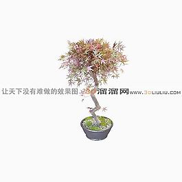 3D盆景模型
