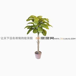 3D盆景模型